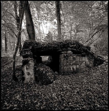 PFETTERHOUSE, THE SWISS BORDER